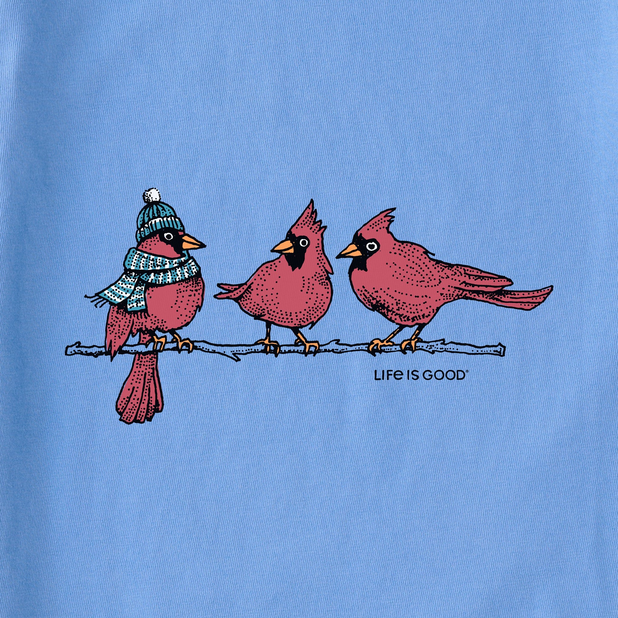 Women's 3 Warmly Dressed Cardinals Simply True Fleece Hoodie