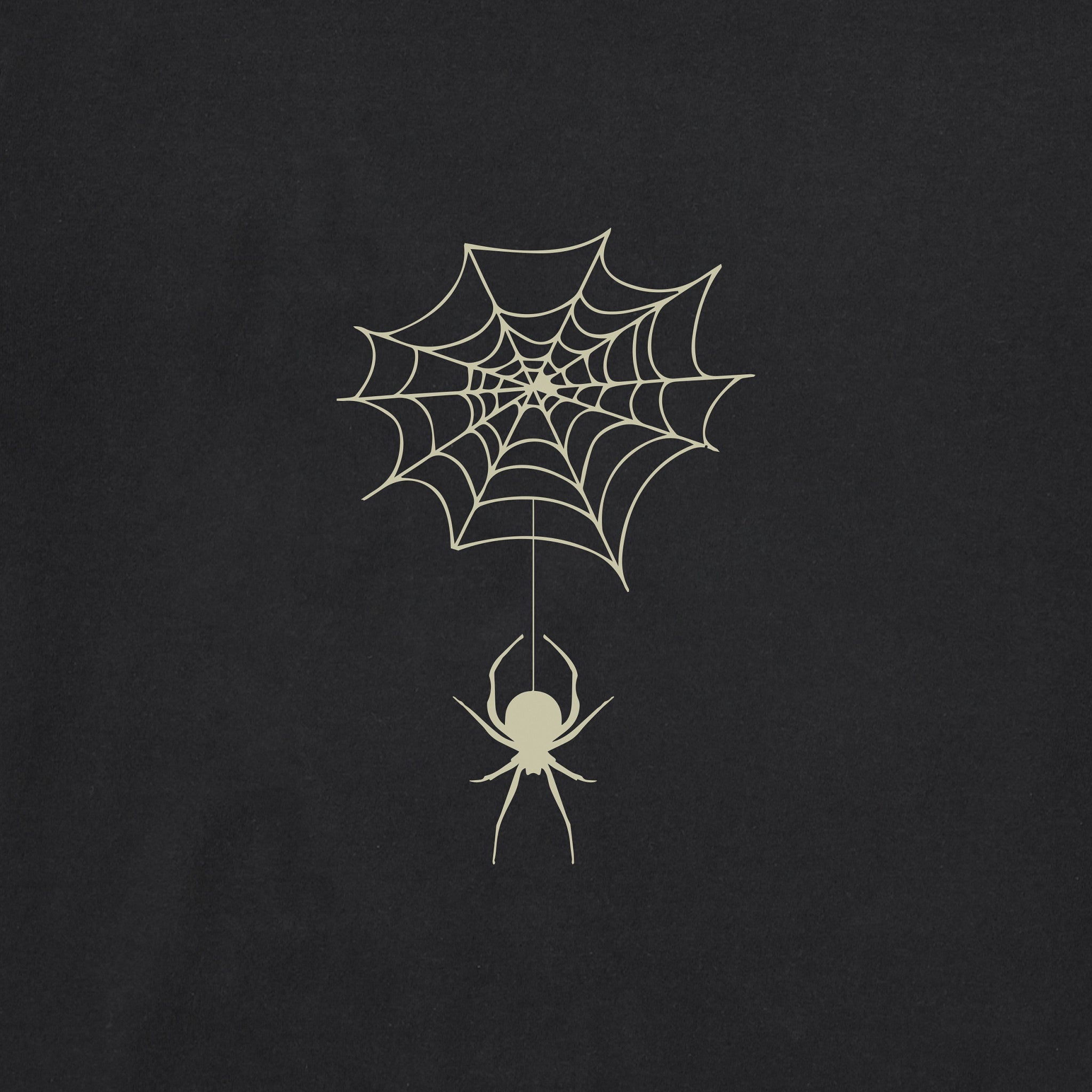 Kids Spooky Spiderweb Long Sleeve Crusher Tee