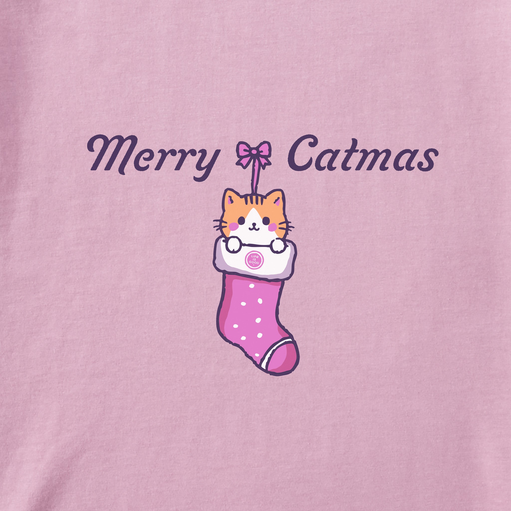 Merry Catmas Stocking Long Sleeve Toddler Crusher Tee