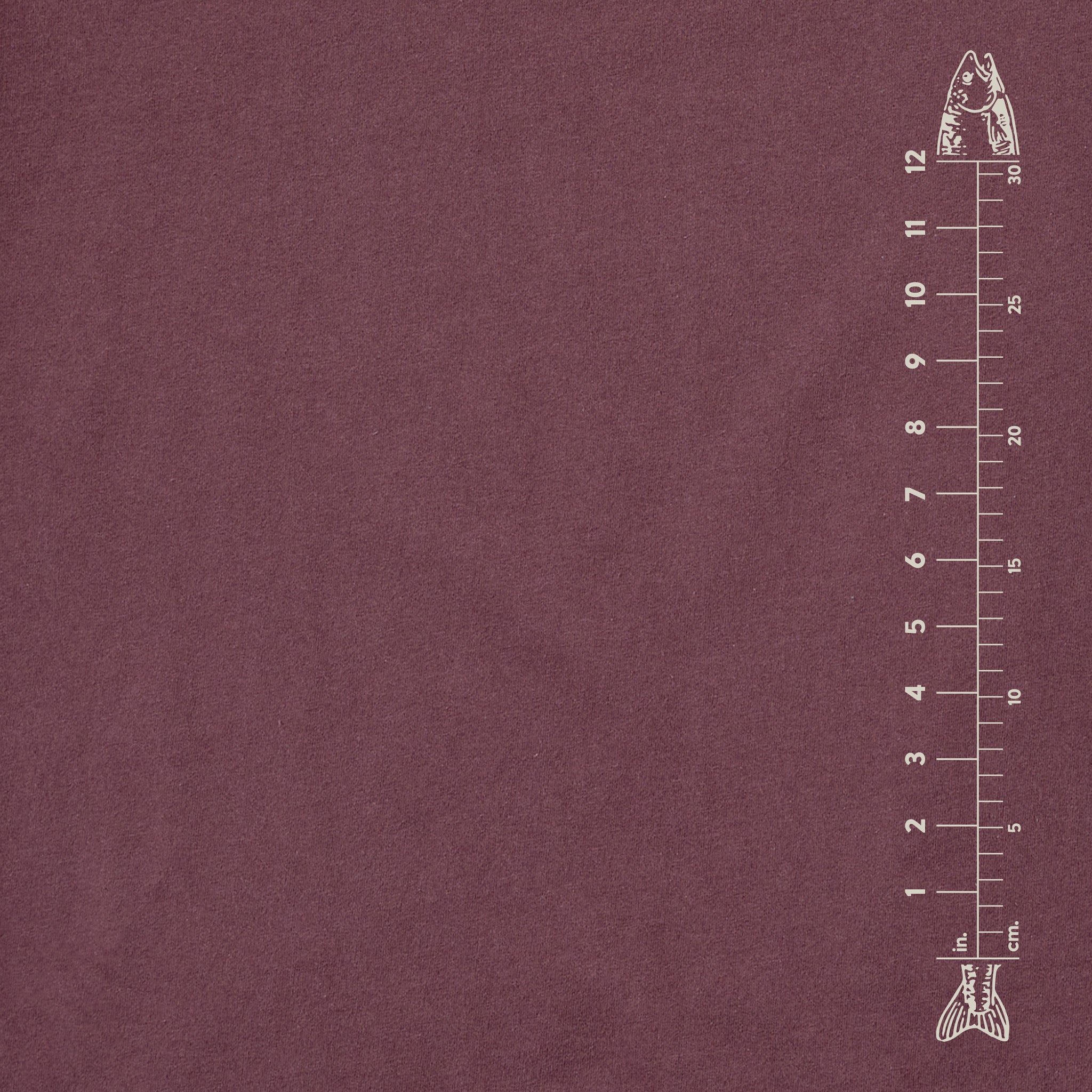 Men's Fish Ruler Short Sleeve Crusher Tee