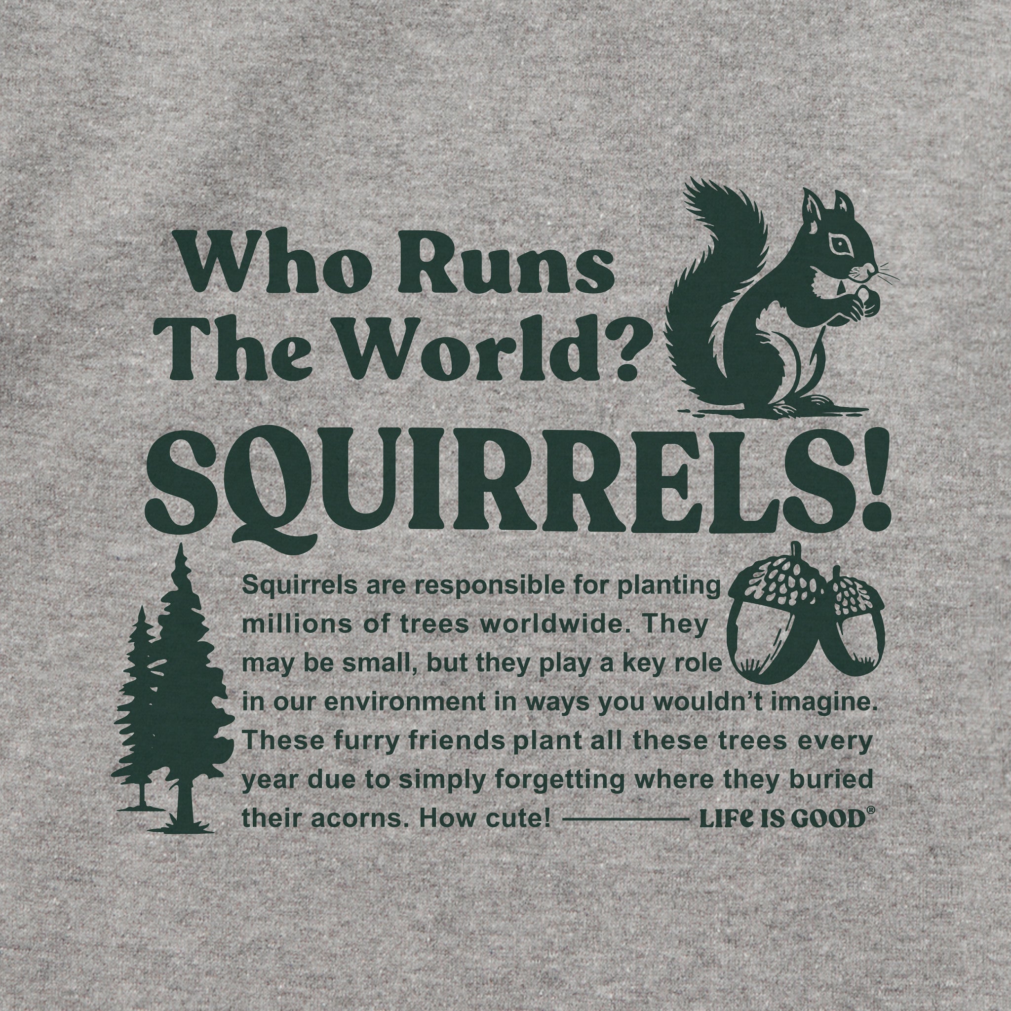 Adult Unisex Squirrels Run the World Every Wear Hoodie Sweatshirt