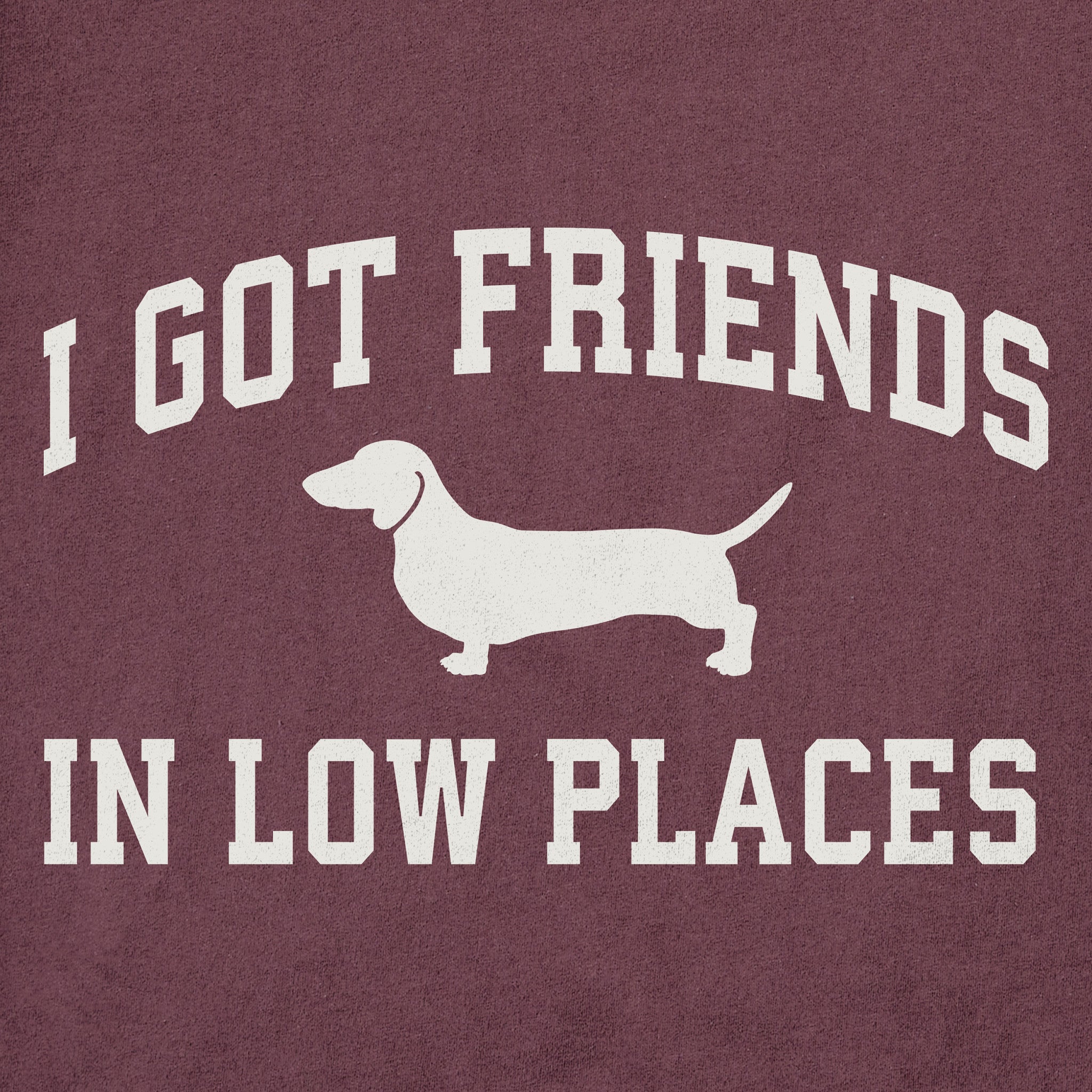 Men's I Got Friends Arch Short Sleeve Crusher Tee