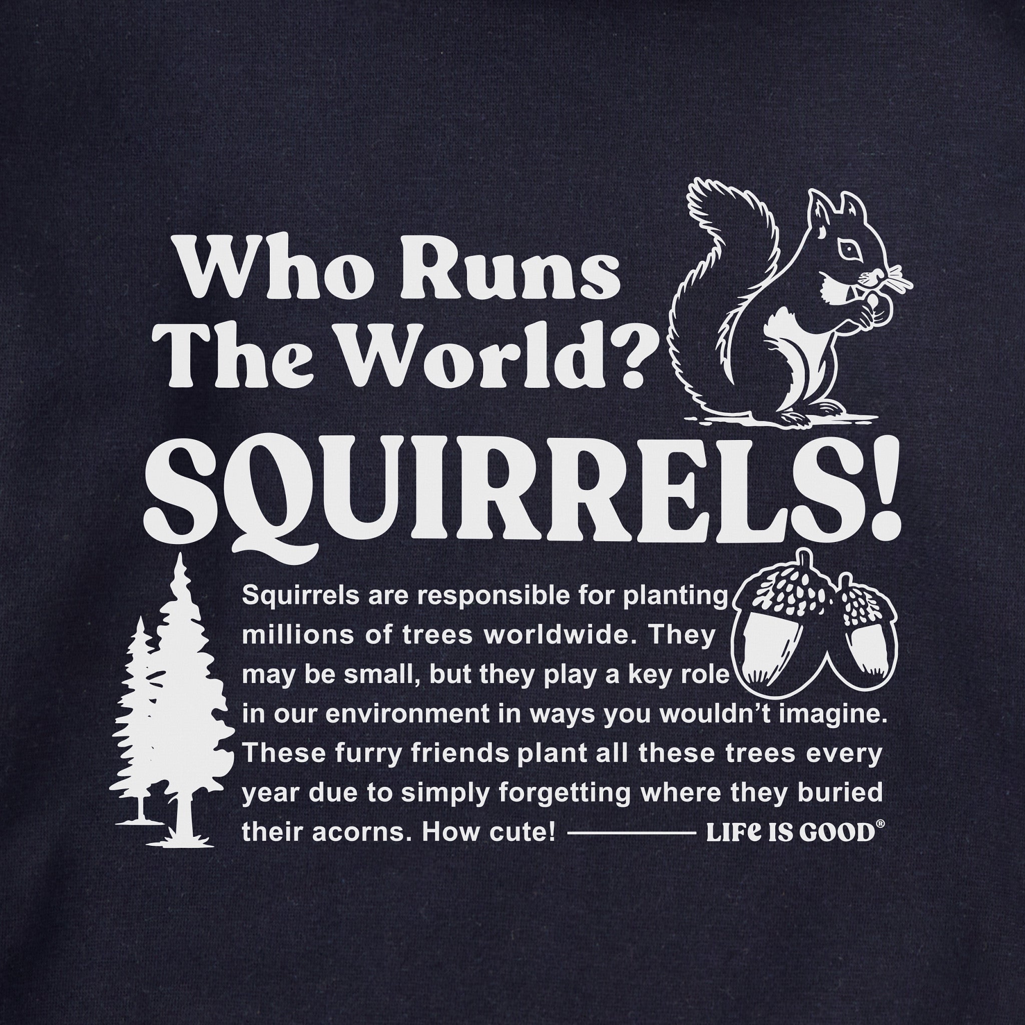 Adult Unisex Squirrels Run the World Every Wear Hoodie Sweatshirt